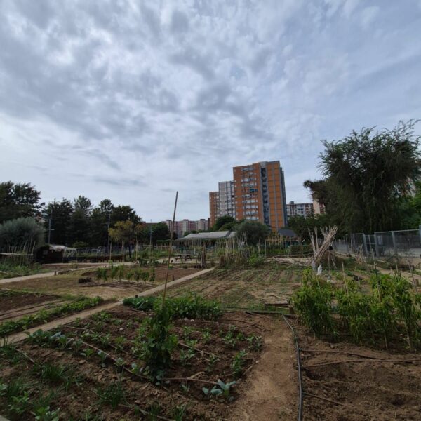 20250929_Voyage Barcelone Erasmus + 27eme Region - Jour 1 (7)